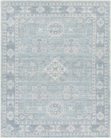 Calderbank Sky Blue Wool-Blend Area Rug - Ornate Home
