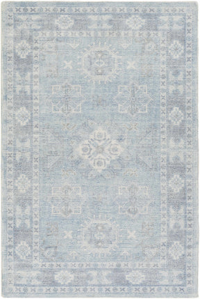 Calderbank Sky Blue Wool-Blend Area Rug - Ornate Home