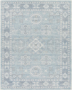 Calderbank Sky Blue Wool-Blend Area Rug - Ornate Home
