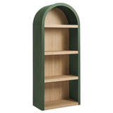 Caleb Hunter Green 4 Arched Display Shelf Bookcase - Ornate Home