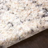 Calsib Area Rug - Ornate Home