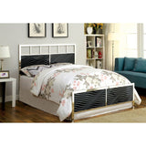 Calvin Black/Chrome Queen Bed - Ornate Home