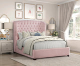 Cameo Pink Queen Bed - Ornate Home
