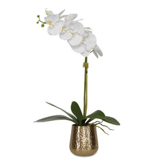 Cami Orchid Brass Pot - Ornate Home