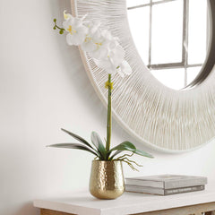 Cami Orchid Brass Pot - Ornate Home