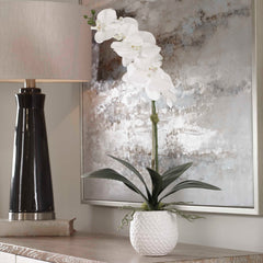 Cami White Orchid - Ornate Home