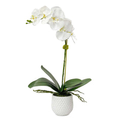 Cami White Orchid - Ornate Home