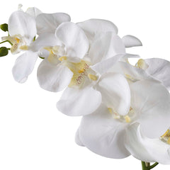 Cami White Orchid - Ornate Home