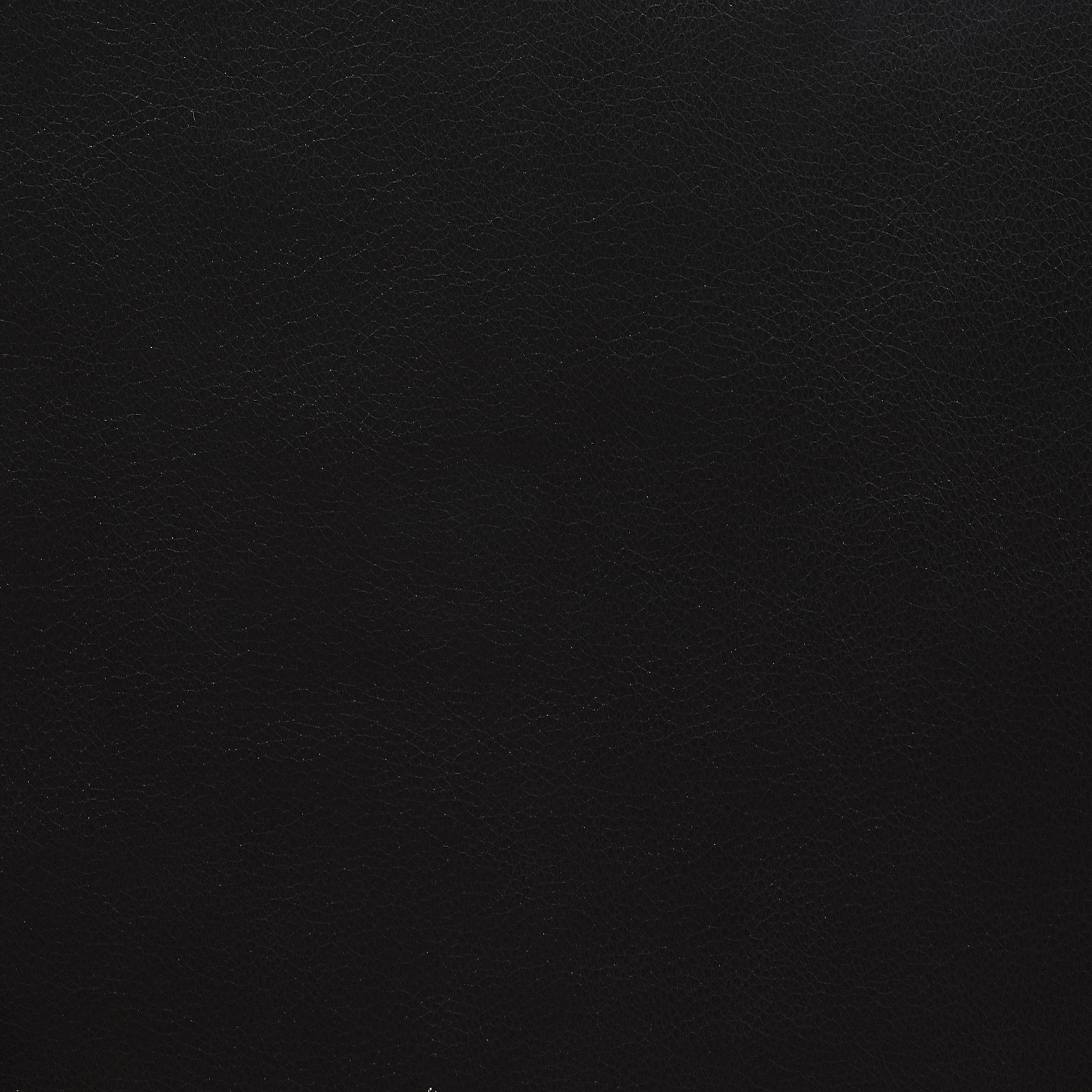 Camila Black Reclining Loveseat - Ornate Home