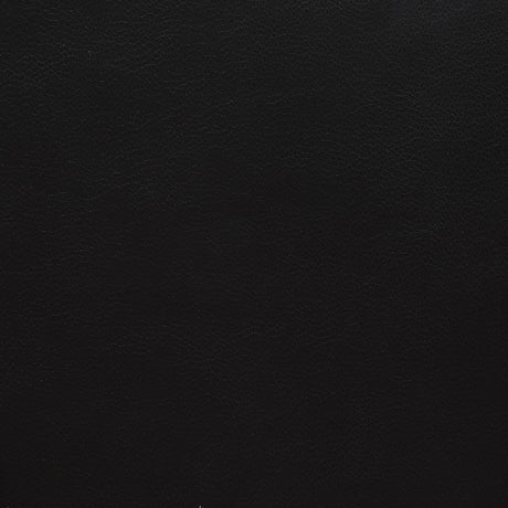 Camila Black Reclining Loveseat - Ornate Home