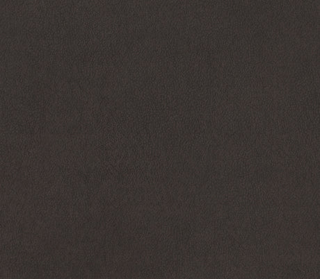 Camryn Chocolate Power Double Reclining Loveseat - Ornate Home