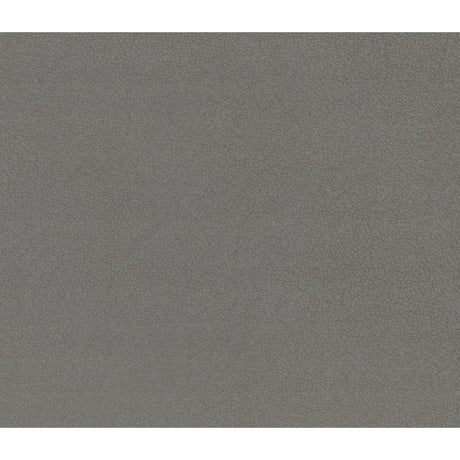 Camryn Gray Double Reclining Sofa - Ornate Home