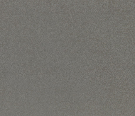 Camryn Gray Power Double Reclining Loveseat - Ornate Home