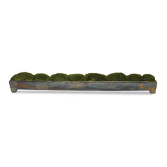 Canal Moss Centerpiece - Ornate Home