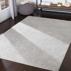 Canaseraga Area Rug - Clearance - Ornate Home