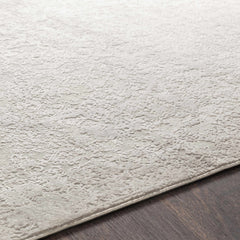 Canaseraga Area Rug - Clearance - Ornate Home