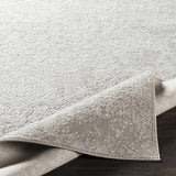 Canaseraga Area Rug - Clearance - Ornate Home