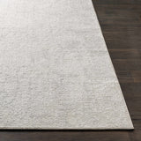 Canaseraga Area Rug - Clearance - Ornate Home