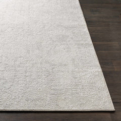 Canaseraga Area Rug - Clearance - Ornate Home