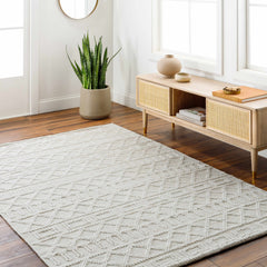 Canta Area Rug - Clearance - Ornate Home