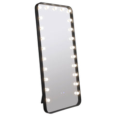 Canton Mirror Standing Mirror - Ornate Home