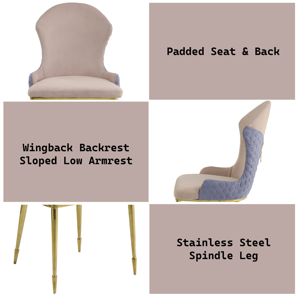 Caolan Side Chair (Set-2) - Ornate Home