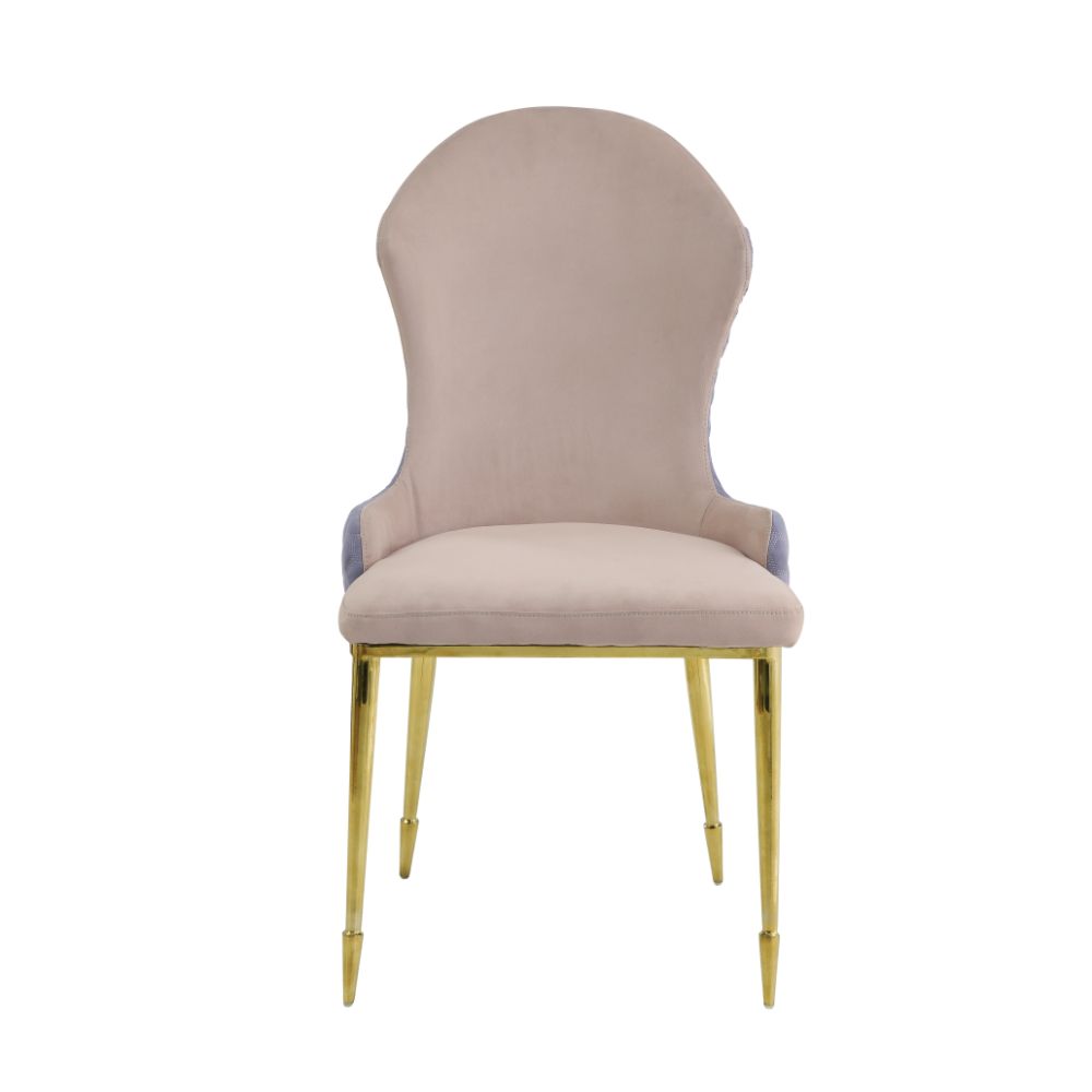Caolan Side Chair (Set-2) - Ornate Home