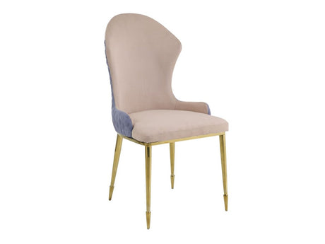 Caolan Side Chair (Set-2) - Ornate Home