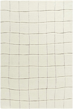 Caolan Washable Wool Rug - Ornate Home