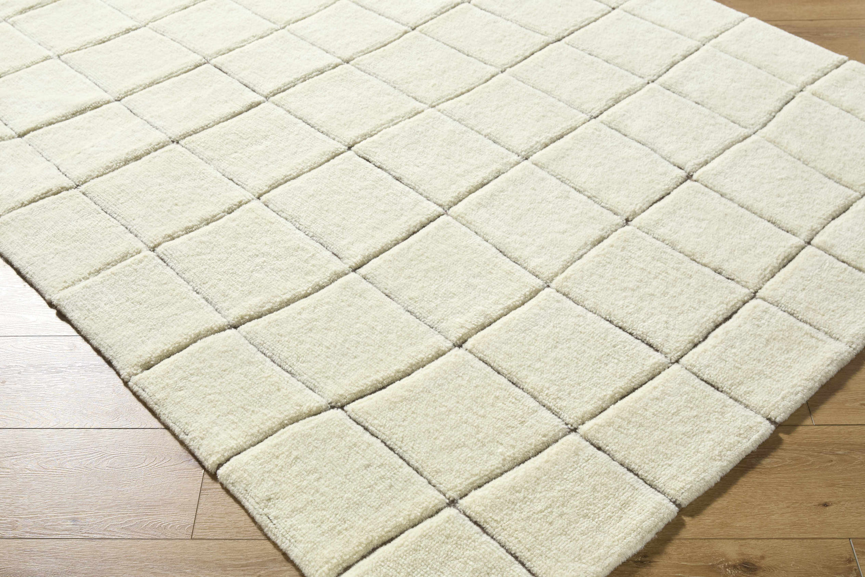 Caolan Washable Wool Rug - Ornate Home