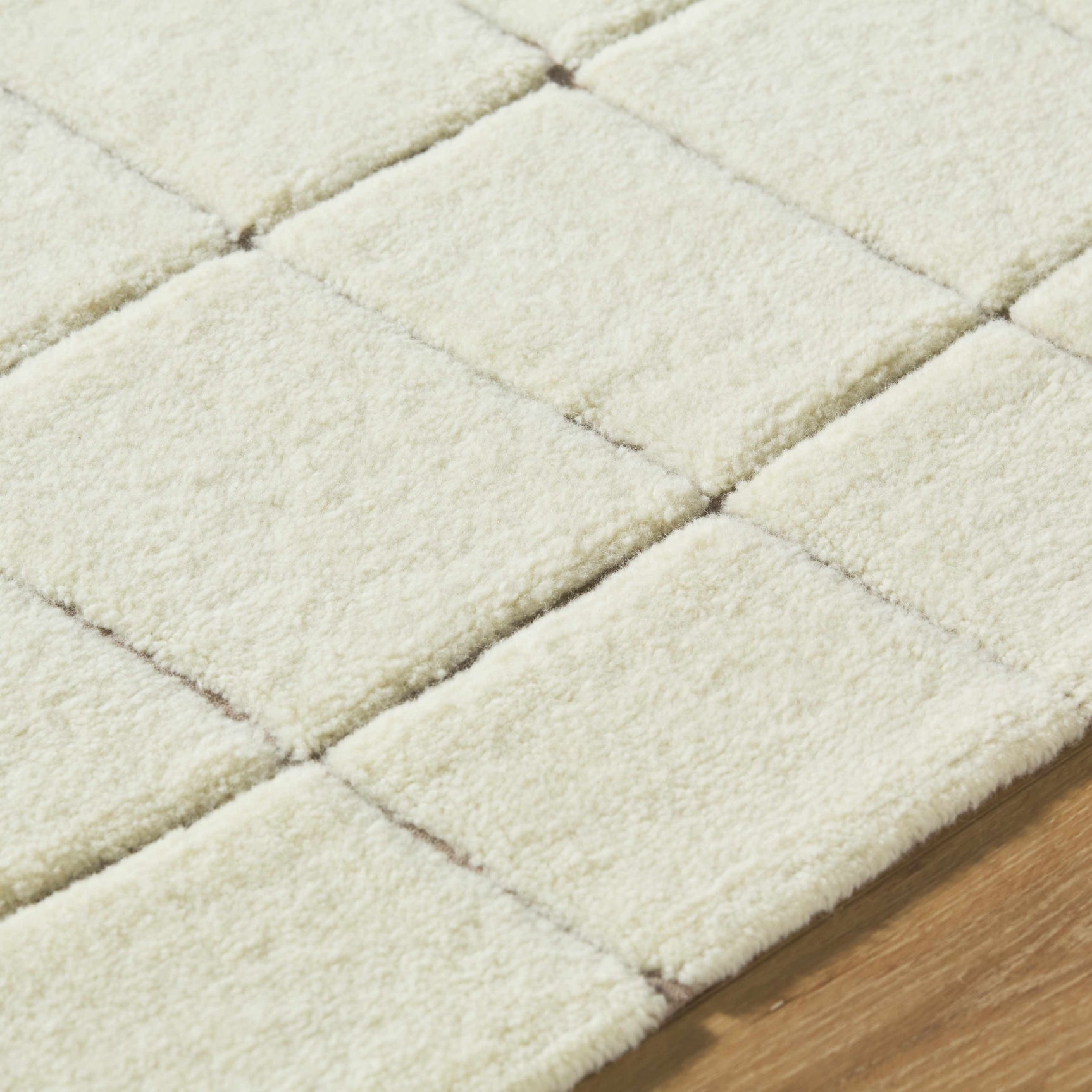 Caolan Washable Wool Rug - Ornate Home