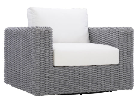 Capri Raven/Grey Mist Outdoor Swivel Chair - Ornate Home