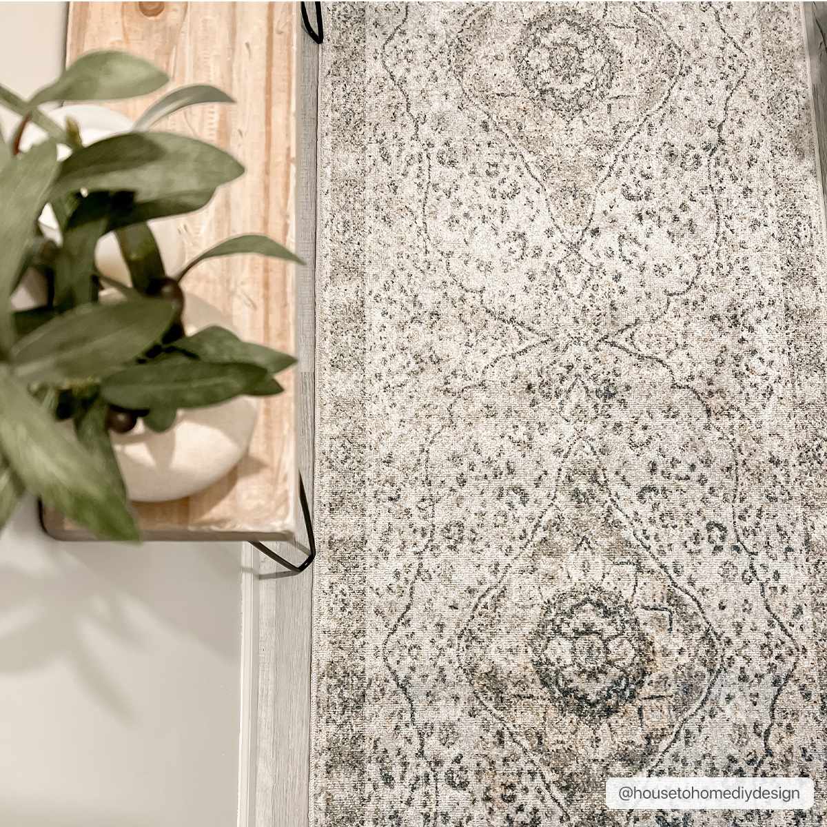 Cara Washable Area Rug - Ornate Home