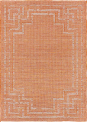 Caravonica Flatweave Outdoor Area Carpet - Clearance - Ornate Home
