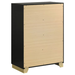 Caraway Black Chest - Ornate Home