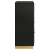 Caraway Black Chest - Ornate Home