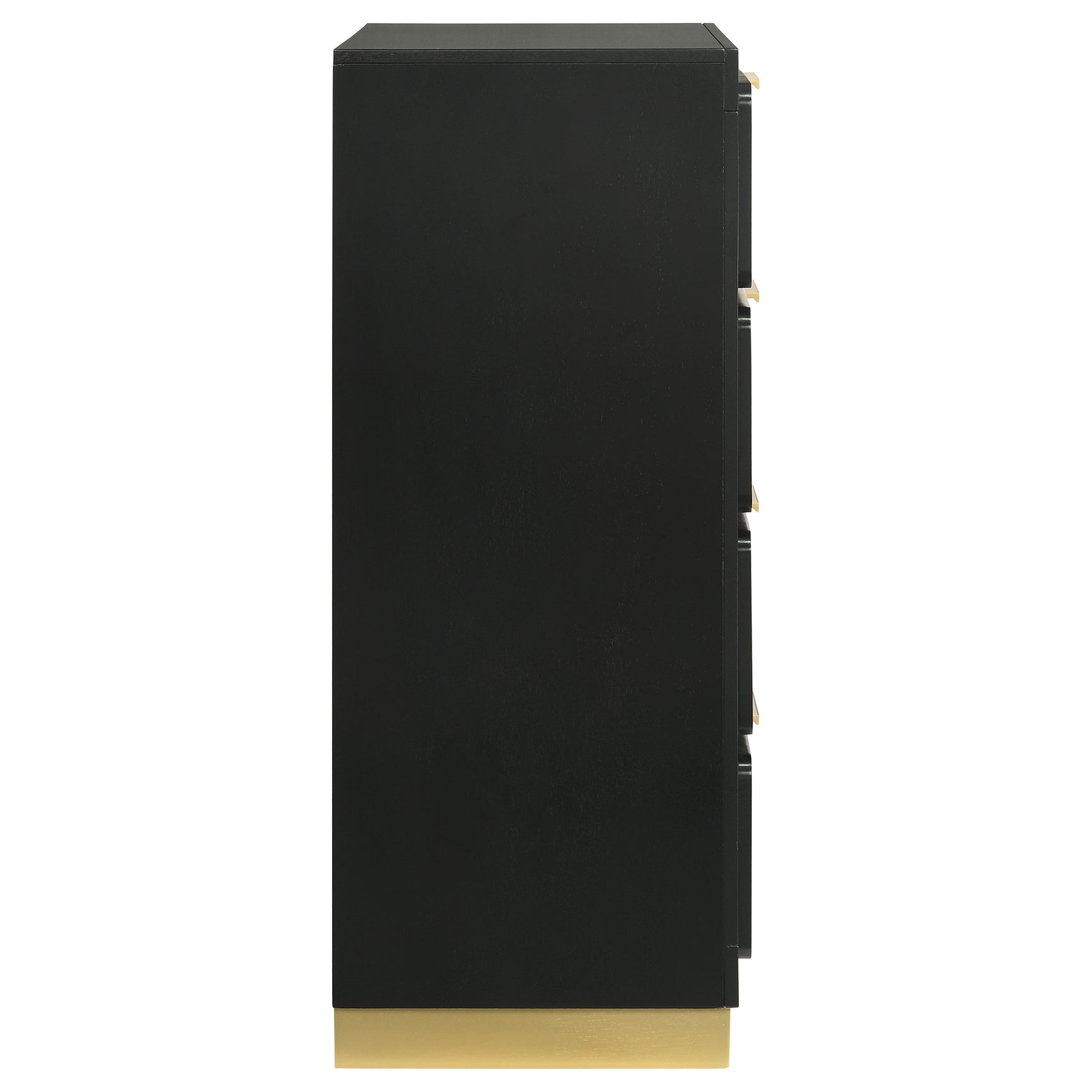 Caraway Black Chest - Ornate Home