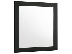 Caraway Black Dresser Mirror - Ornate Home