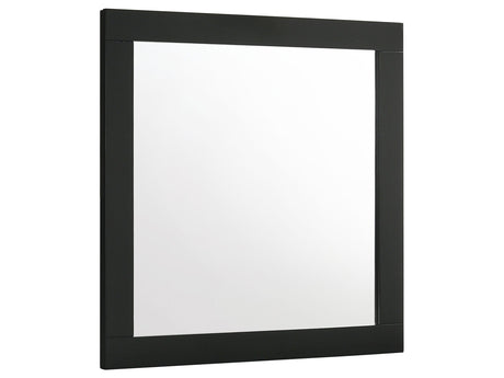 Caraway Black Dresser Mirror - Ornate Home