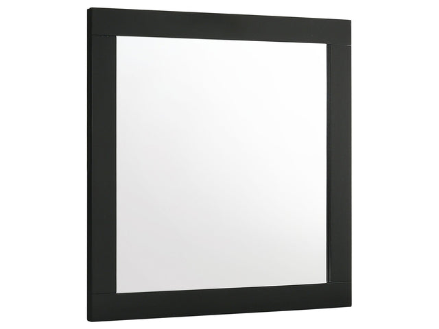 Caraway Black Dresser Mirror - Ornate Home
