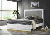 Caraway White Queen Panel Bed - Ornate Home