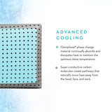 CarbonCool LT + Omniphase White King Pillow - Ornate Home