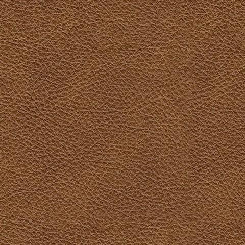 Carianna Caramel Loveseat (Online Special Price) - Ornate Home