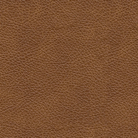 Carianna Caramel Loveseat - Ornate Home