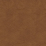 Carianna Caramel Sofa and Loveseat (Online Special Price) - Ornate Home