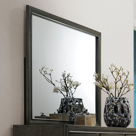 Carine II Gray Mirror - Ornate Home