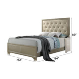 Carine PU & Champagne Queen Bed - Ornate Home