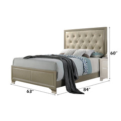 Carine PU & Champagne Queen Bed - Ornate Home