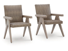 Carisbo Beige-Outdoor Arm Chair (Set of 2) - Ornate Home