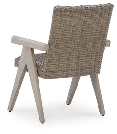 Carisbo Beige-Outdoor Arm Chair (Set of 2) - Ornate Home